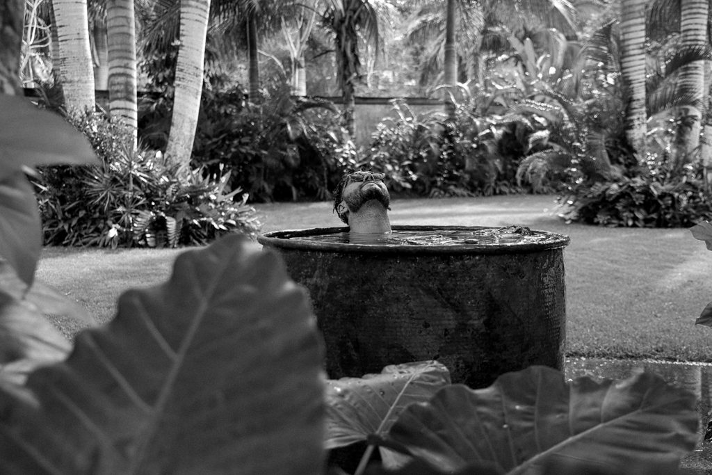Fountain and garden