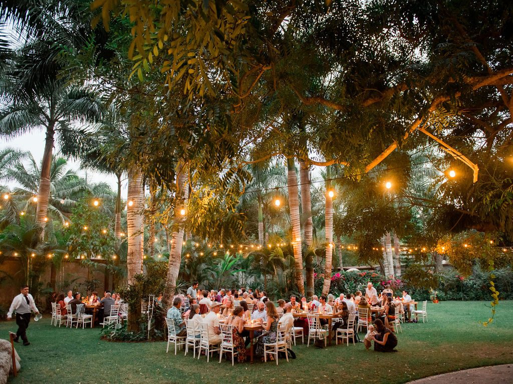 Evening reception under palm trees with string lights